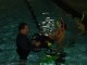Thumbs/tn_Discover Scuba-3.jpg